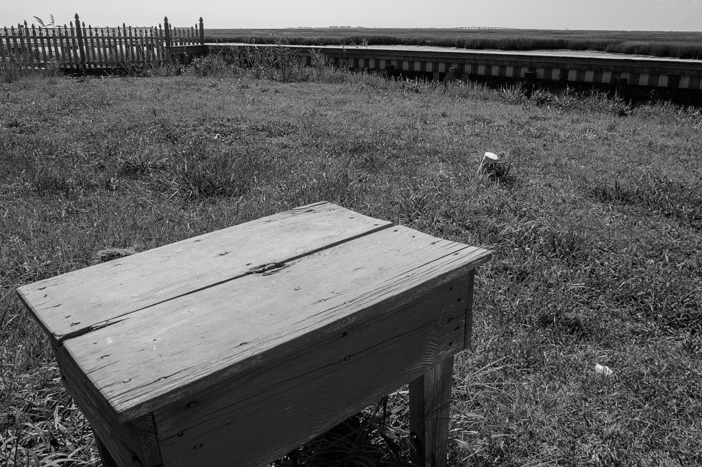 Credit: @2019 Susan McCaslin